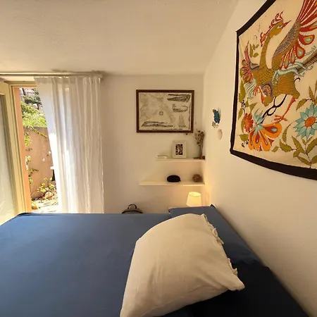 Casa Allegra Con Vista Mare E Aria Condizionata 公寓 *